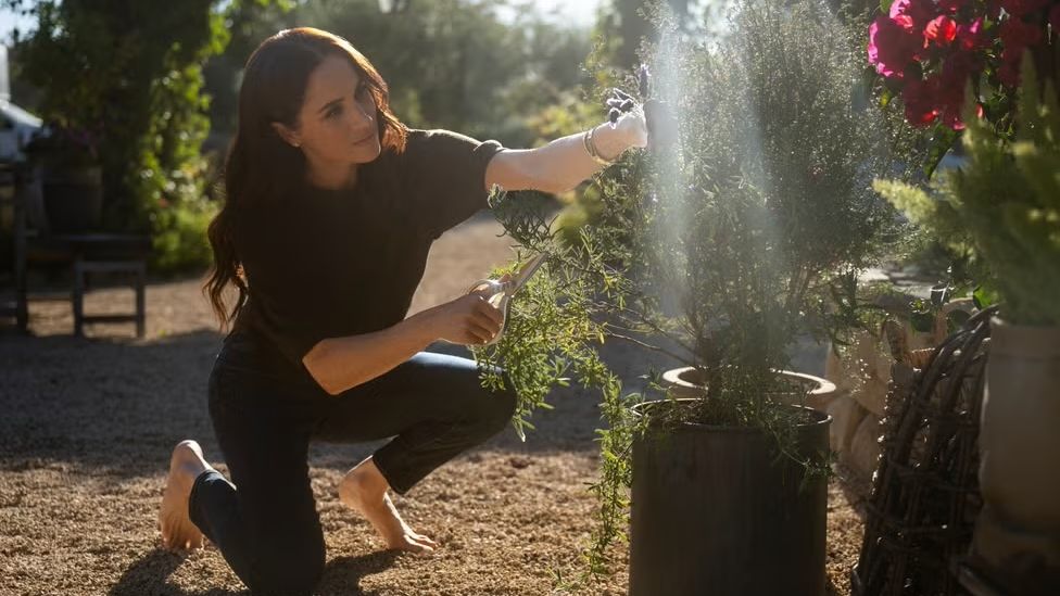 Meghan20Markle.jpeg